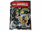 891611 LEGO Ninjago Cole