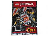 891953 LEGO Ninjago Cole