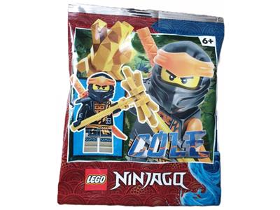 892290 LEGO Ninjago Cole