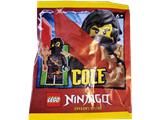 892512 LEGO Ninjago Cole