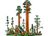 910058 LEGO Sequoia Tree Trail