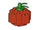 Pumpkin thumbnail